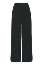 Puna pant ponderosa pine