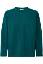 Pusti sweater top sea moss