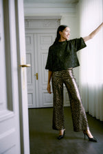 Oliva jumper meteorite