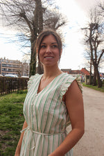 Jovil dress greenbriar