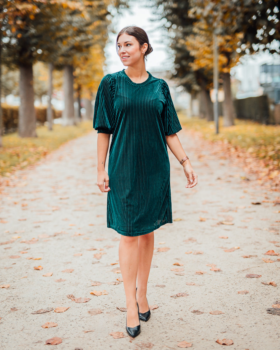 Caca velvet dress garden